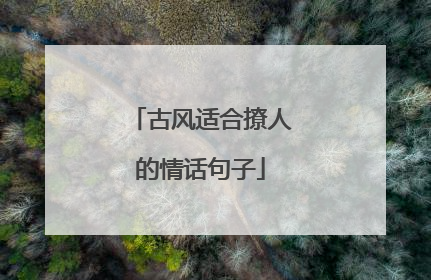 古风适合撩人的情话句子