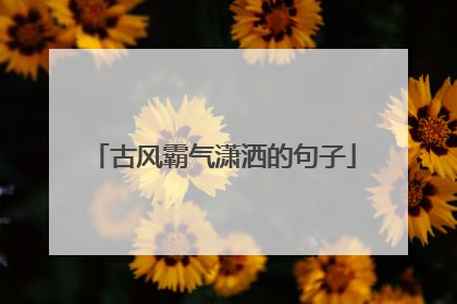 古风霸气潇洒的句子