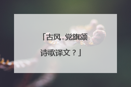古风.党旗颂诗歌译文？