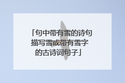 句中带有雪的诗句 描写雪或带有雪字的古诗词句子