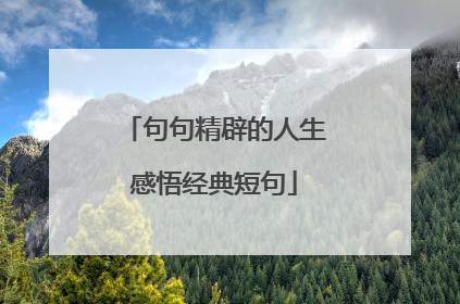 句句精辟的人生感悟经典短句
