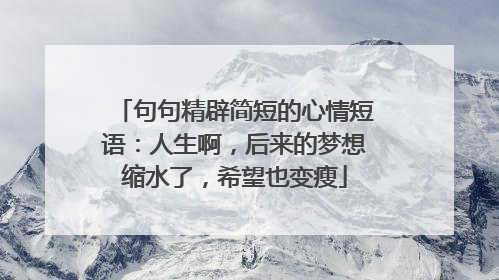 句句精辟简短的心情短语：人生啊，后来的梦想缩水了，希望也变瘦