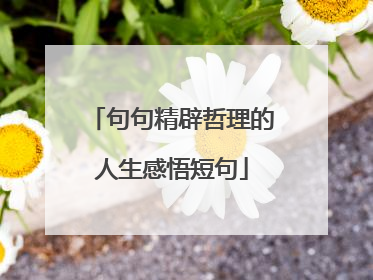 句句精辟哲理的人生感悟短句