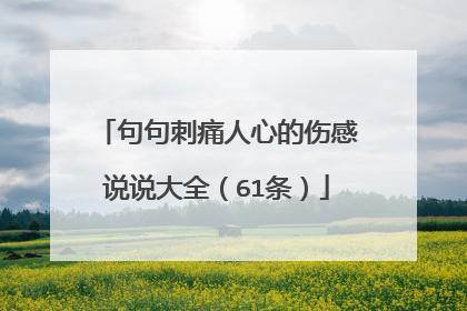 句句刺痛人心的伤感说说大全(61条)
