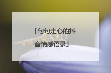 句句走心的抖音情感语录