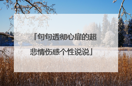 句句透彻心扉的超悲情伤感个性说说