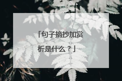 句子摘抄加赏析是什么？