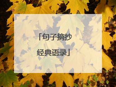 句子摘抄 经典语录