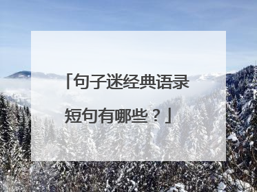 句子迷经典语录短句有哪些?