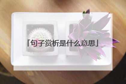 句子赏析是什么意思