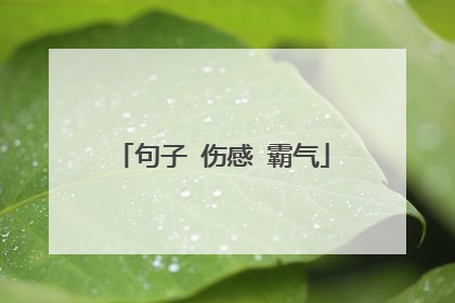 句子 伤感 霸气
