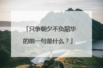 只争朝夕不负韶华的前一句是什么?