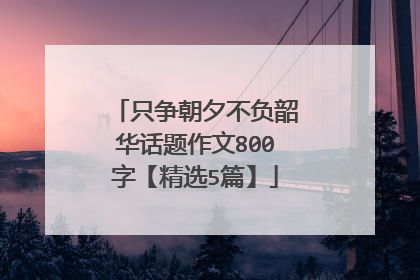 只争朝夕不负韶华话题作文800字【精选5篇】
