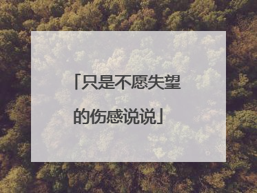 只是不愿失望的伤感说说