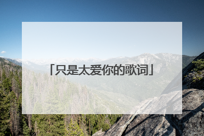 只是太爱你的歌词