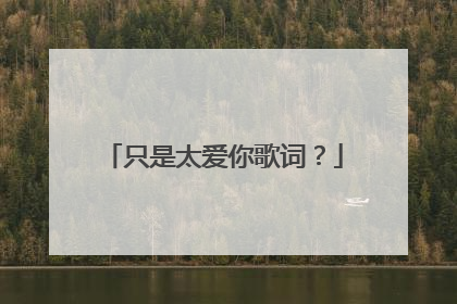 只是太爱你歌词？
