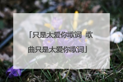 只是太爱你歌词 歌曲只是太爱你歌词