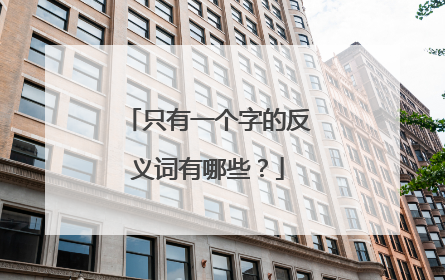 只有一个字的反义词有哪些?