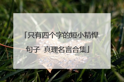 只有四个字的短小精悍句子 真理名言合集
