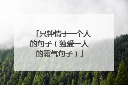只钟情于一个人的句子（独爱一人的霸气句子）