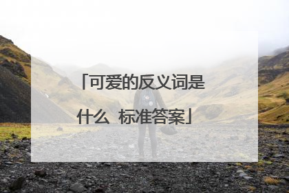 可爱的反义词是什么 标准答案