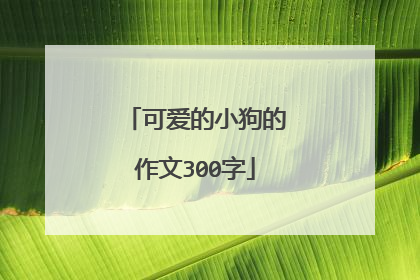 可爱的小狗的作文300字