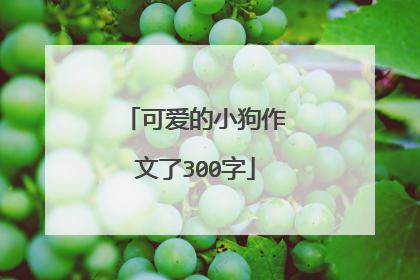 可爱的小狗作文了300字
