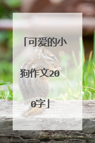 可爱的小狗作文200字