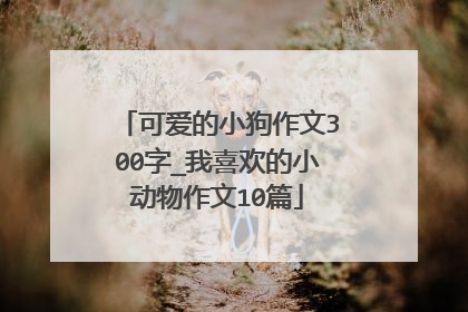 可爱的小狗作文300字_我喜欢的小动物作文10篇