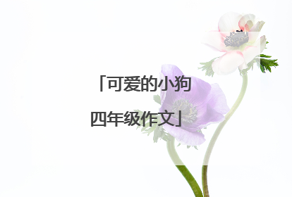 可爱的小狗四年级作文