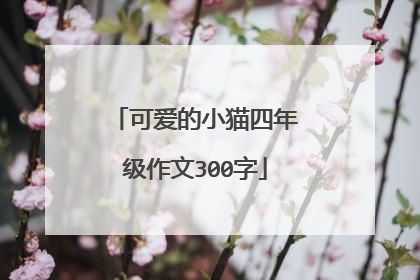 可爱的小猫四年级作文300字