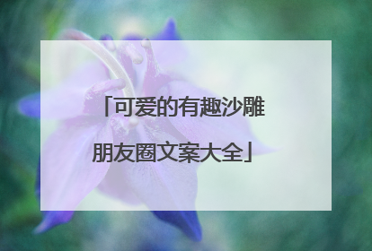 可爱的有趣沙雕朋友圈文案大全