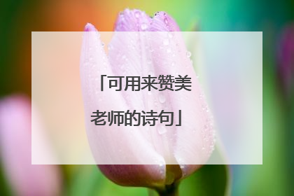 可用来赞美老师的诗句