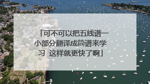 可不可以把五线谱一小部分翻译成简谱来学习 这样就更快了啊