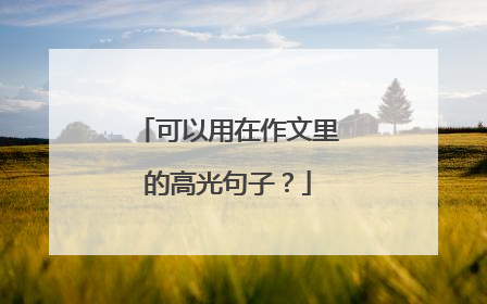 可以用在作文里的高光句子?