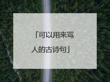 可以用来骂人的古诗句