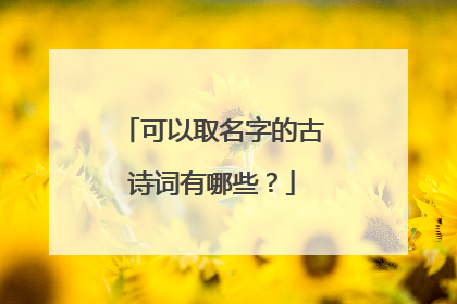 可以取名字的古诗词有哪些?