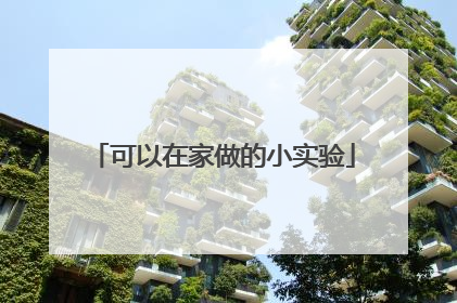 可以在家做的小实验