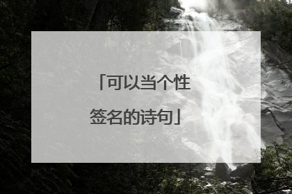 可以当个性签名的诗句