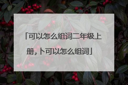可以怎么组词二年级上册,卜可以怎么组词