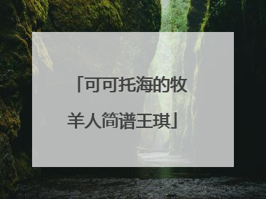可可托海的牧羊人简谱王琪