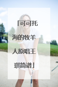 可可托海的牧羊人原唱王琪简谱