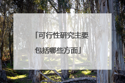 可行性研究主要包括哪些方面