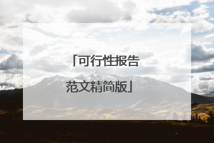 可行性报告范文精简版