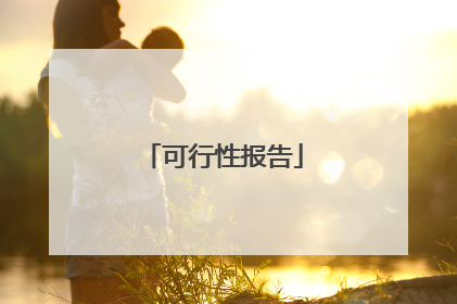 可行性报告