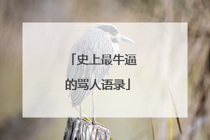 史上最牛逼的骂人语录