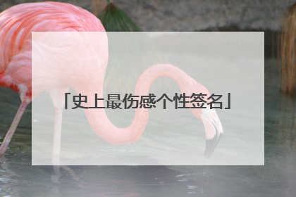 史上最伤感个性签名