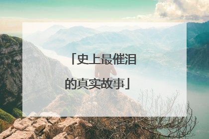 史上最催泪的真实故事