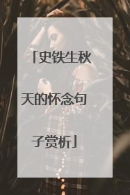 史铁生秋天的怀念句子赏析