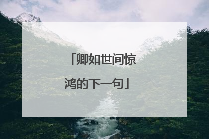 卿如世间惊鸿的下一句